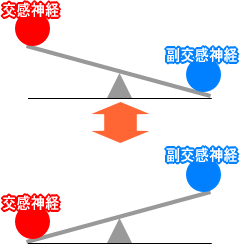 �����_�o���畛�����_�o�ւƗh�ꓮ�����ő̂̃o�����X���Ƃ��Ă��܂��B