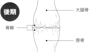 �i�C���X�g�j�G�ɂ̌��