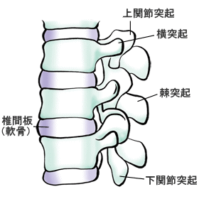 �i�C���X�g�j����