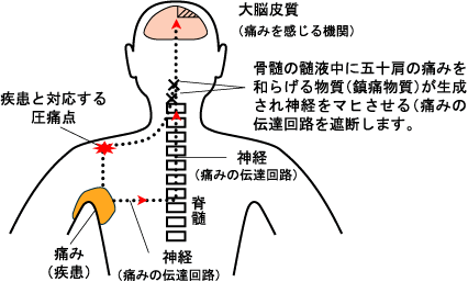 �i�C���X�g�j�ɂ݂̓`�B�o�H