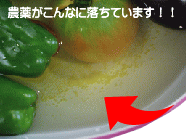 ��ؕ҂̔_�򂪗������摜