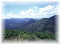 ���b�c�R�[