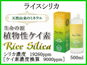 ���C�X�V���J